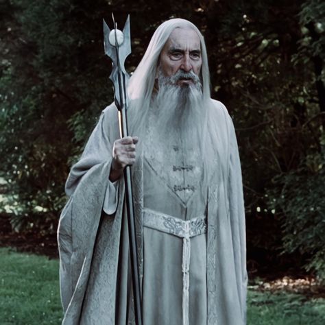 Saruman Costume, Lotr Wizards, Magic Council, Rings Of Power Lotr, Lord Of The Rings Art, Gandalf The White, Hobbit Movie, Koi Fish Drawing, Ancient Kings