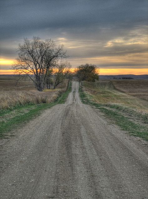 dirt road reminds me of Hico, Texas... Country Roads Take Me Home, Gravel Road, Country Scenes, Dirt Road, Back Road, Take Me Home, North Dakota, Country Life, Beautiful Landscapes