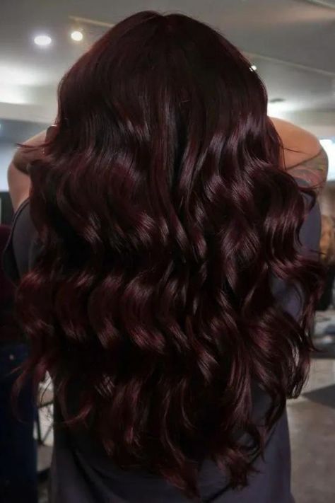 Cherry Black Scarlet Red Hair, Color For Black Hair, Cherry Brown Hair, Black Hair Ideas, Black Cherry Hair Color, Black Cherry Hair, Violet Hair Colors, Cherry Hair Colors, Cherry Red Hair