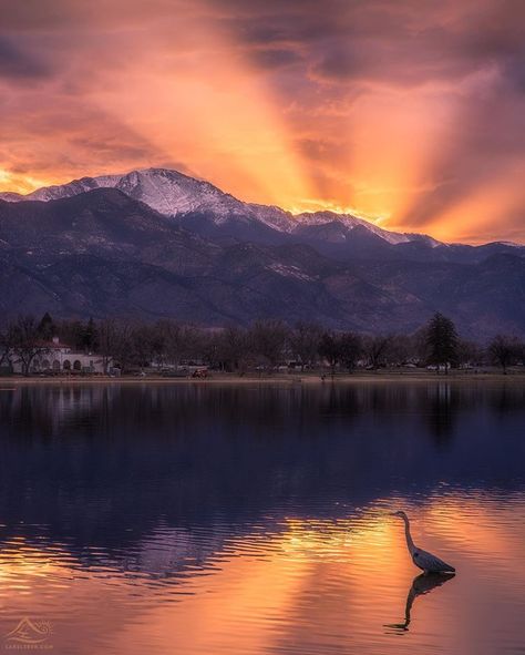 Pikes Peak Colorado, Nice Sunset, Colorado Photography, Visit Colorado, Adventure Hiking, Lake Sunset, Pikes Peak, Memorial Park, Blue Heron