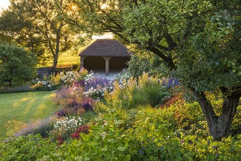 The Society of Garden Designers has just announced the winners of the SGD Awards 2020. Here are our highlights from all the gorgeous winning gardens. Eco Landscape Design, Garden Homes, Sedum Roof, Stepping Stone Paths, Monterey Cypress, Narrow Garden, Ecology Design, Eco Garden, Door Picture