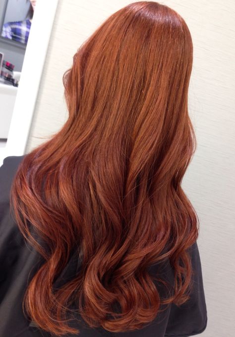 Brown Ombre Hair Color, Shades Of Red Hair, White Hair Color, Brown Ombre Hair, Red Hair Inspo, Ginger Hair Color, Ombre Hair Color, Auburn Hair, Red Hair Color