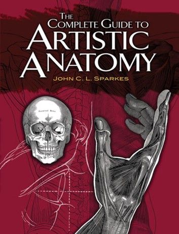 Artistic Anatomy, History Drawings, Andrew Loomis, Beauty Drawings, Skull Bones, Dover Publications, Anatomy For Artists, Bones And Muscles, Small Drawings