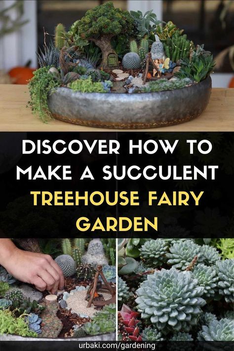 Fairy Vegetable Garden, Plant Pot Fairy Garden, Succulent Fairy Garden Ideas, Indoor Fairy Garden Ideas, Succulent Fairy Garden, Fairy Garden Box, Make A Fairy Garden, Mini Succulent Garden, Succulent Rock Garden