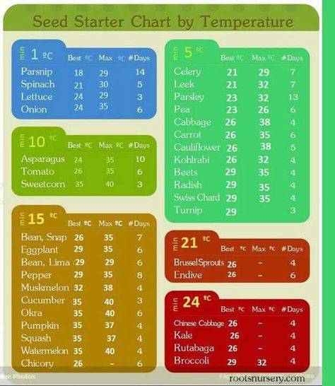 In Celsius When To Plant Seeds, Spring Vegetable Garden, When To Plant Vegetables, Seed Starter, Spring Vegetables, Homestead Survival, Veggie Garden, Seed Starting, Growing Food