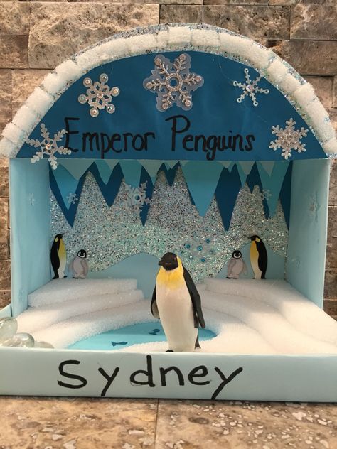 Syd's Emperor Penguin Diorama Penguin Diorama, Tundra Project, Penguins Project, Diorama Kids, Ecology Projects, Diarama Ideas, Grey Chino, Habitats Projects, Emperor Penguins