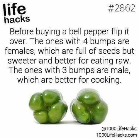 1000 Lifehacks, 1000 Life Hacks, Food Info, Cooking Hacks, Simple Life Hacks, Food Facts, Diy Life Hacks, Food Tips, Bell Pepper