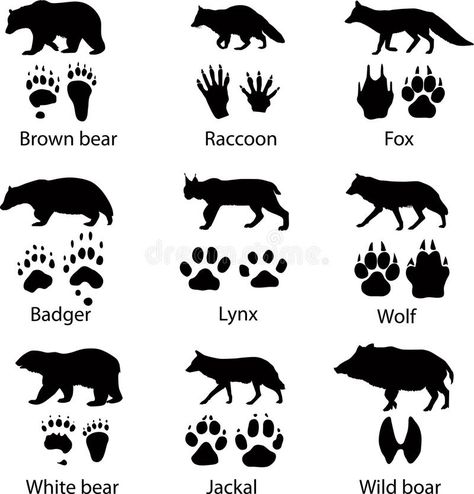 Wild animals. And its tracks , #sponsored, #Wild, #animals, #tracks #ad Animal Footprints, Antler Crafts, Bushcraft Skills, Animal Tracks, White Bear, Silhouette Art, Deer Hunting, Forest Animals, Wild Animals