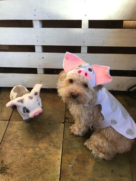 Pua DIY Pet costume Pig Costume For Dog, Pua Costume For Dog, Costumes With Your Dog, Diy Dog Costume, Dog And Owner Costumes, Diy Pet Costumes, Cute Dog Costumes, Dog Parade, Halloween Kids Costumes Girls