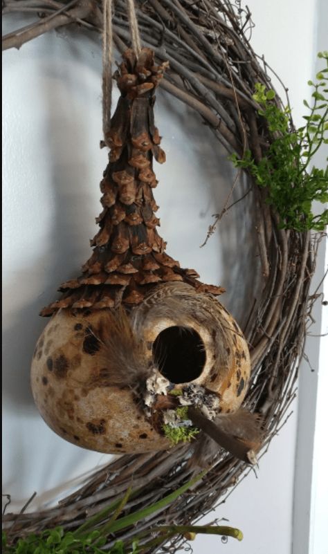 Diy Gourd Birdhouse, Painted Gourds Birdhouses, Gourd Art For Beginners, Gourds Decor, Gnome Gourds, Gourd Art Patterns, Gourd Art Ideas, Gourd Projects, Gourds Diy