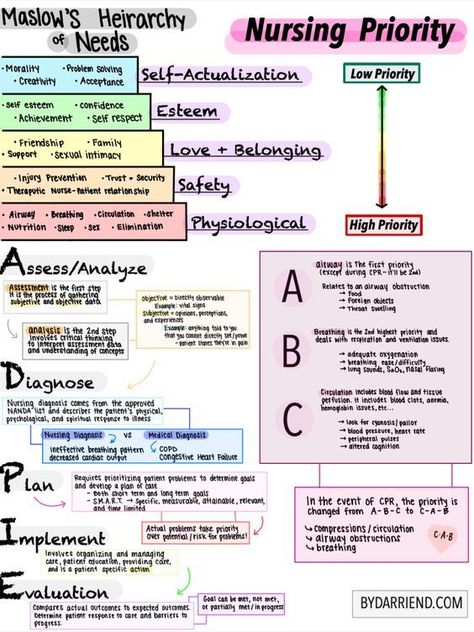 Nursing School Studying Cheat Sheets, Nursing School Organization, King Abdulaziz, Nursing School Inspiration, Nursing Study Tips, Nursing School Essential, Nursing Study Guide, Nursing School Motivation, Nurse Study Notes