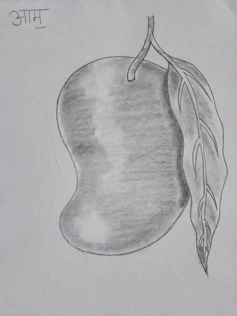 Mango Sketching Art Drawing Sketching Art, Art Drawing, Art Sketches, Mango, Art Drawings, Drawings, Photography, Art