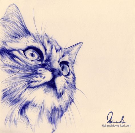 Melanie Fischer Ballpen Drawing, Stylo Art, Biro Drawing, Biro Art, Cat Pen, Ballpoint Pen Art, Ballpoint Pen Drawing, Pen Art Drawings, Cat Sketch