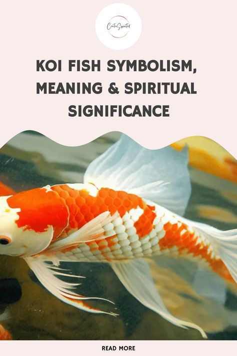 Koi fish have captivated audiences with their stunningly bright colors and gentle nature for centuries. Despite their small size, they are incredibly powerful symbols that evoke a sense of strength, prosperity, and longevity in many cultures worldwide. As such, koi carry remarkable spiritual meaning that has withstood the test of time throughout the ages. In this blog post, we will dive into the history behind koi fish symbolism and consider how it affects our own lives. Koi Fish Spiritual Meaning, Fish Symbolism, Circle Meaning, Koi Fish Colors, Orange Koi, Symbolism Meaning, Coy Fish, Koi Painting, Fish Symbol