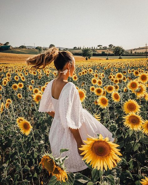 We have nothing to lose and a world to see . Tag someone to #loves to #travel ✈️ Sunflower Field Photography, Sunflower Field Pictures, Sunflower Photography, Sunflower Photo, Flower Photoshoot, Sunflower Pictures, Shotting Photo, Have Inspiration, Foto Tips