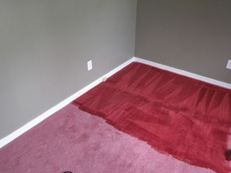 DIY Carpet Dye (with RIT!) Dye Carpet With Rit, Dye Carpet, Carpet Diy, Rit Dye, Carpet Cleaning Hacks, Brown Carpet, Diy Carpet, Best Carpet, Grey Carpet