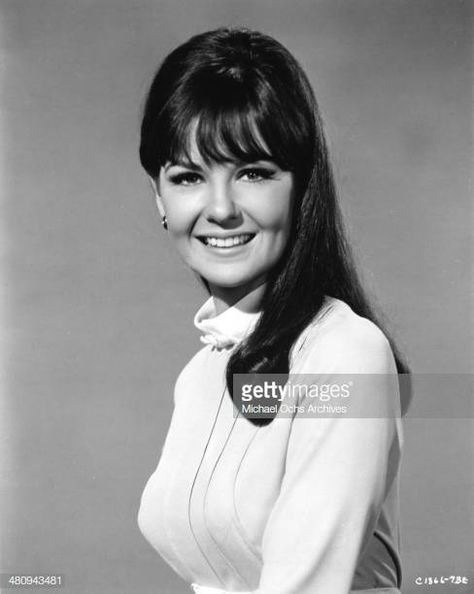 Entertainer Shelley Fabares poses for a portrait to promote the release of the movie A Time To Sing in which she plays Hank Williams Jr's love... Shelley Fabares, Leeza Gibbons, Jobeth Williams, Jason George, Sing Movie, Catherine Bach, Donna Reed, Hank Williams Jr, Sewing Barbie Clothes