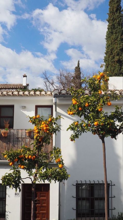 Spanish Aethstetic, Rural Spain Aesthetic, Home In Spain, Andalucia Spain Aesthetic, Vacation In Spain Aesthetic, Orange Trees Aesthetic, Spain House Aesthetic, Spain Vibes Aesthetic, South Spain Aesthetic