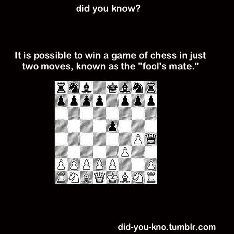 Chess Basics, Chess Rules, Chess Quotes, Chess Moves, Chess Strategies, The Queen's Gambit, Intresting Facts, Chess Game, I Need To Know