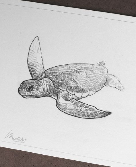 Sea Animal Sketches, Sea Turtle Sketch, Turtle Sketch, Sea Turtle Drawing, Turtle Tattoo Designs, Turtle Drawing, Sea Turtle Art, Turtle Tattoo, Green Sea Turtle