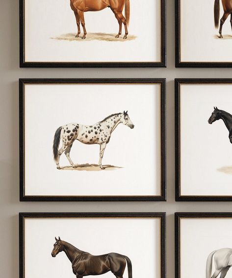 Equestrian Gallery Wall Print Set | Vintage Horse Portrait Lithographs A historic ensemble of horse lithograph reproductions meticulously restored to preserve every brushstroke and delicate detail. Hang them together for an unforgettable gallery wall, or split them into sets to enjoy throughout your home. Sizes refer to the outside edges of the paper. Mats and frames are not included. * Available as single prints or customizable sets * Museum quality reproductions * Fine-art giclée ink * Printed Equestrian Powder Room, Equestrian Chic Decor, Horse Themed Bedrooms, Horse Nursery Decor, Equestrian Home Decor, Set Of Paintings, Home Decor Modern Farmhouse, Equestrian Home, Animal Wall Art Prints