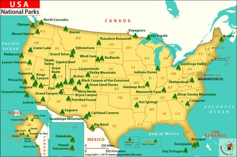 US National Parks Map - This map shows the list of american national parks by state spread throughout the United States. Us National Parks Map, List Of National Parks, American National Parks, Channel Islands National Park, Glacier Bay National Park, National Parks Map, National Park Road Trip, Denali National Park, National Parks Usa