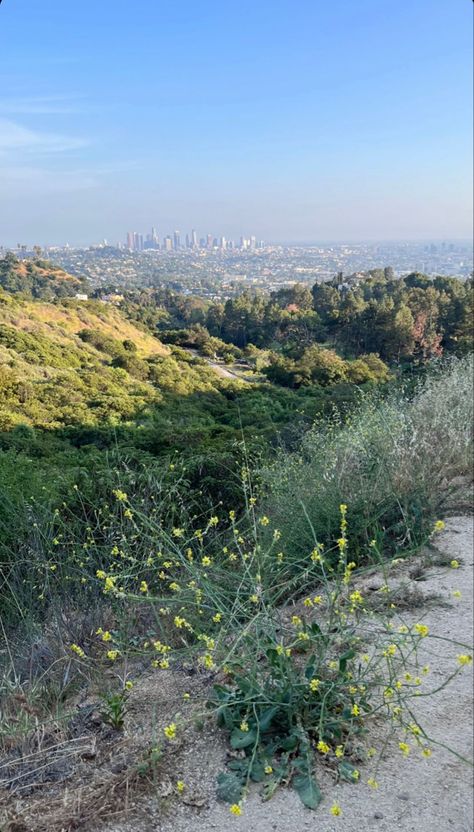 Los Angeles Hikes, Hiking Hollywood Sign, National Enquirer, Sign Flowers, Hikes In Los Angeles, Hollywood Sign, Nature View, Blowout Hair, Vision Boards