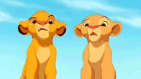 Simba and Nala making weird faces. Simba Und Nala, Simba E Nala, Simba Y Nala, Simba Et Nala, King Gif, Rapunzel Disney, Simba And Nala, Il Re Leone, Re Leone