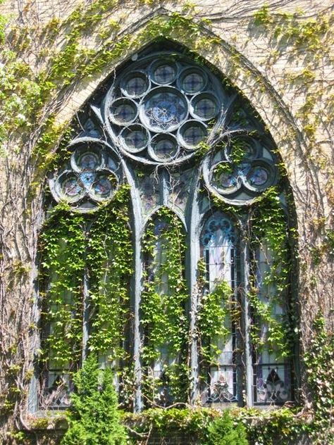 Window Architecture, Church Window, Gothic Windows, Gothic Church, Church Windows, Old Churches, Country Church, Gothic Architecture, Beautiful Doors