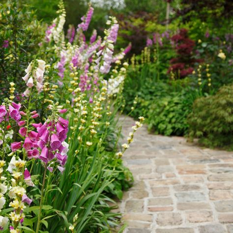 14 garden path ideas – curved and straight walkway designs in gravel, brick and stone for every budget Brick Pathway Garden, Cottage Front Garden, Front Garden Path, Walkway Designs, Garden Path Ideas, Small Front Gardens, Brick Path, Path Ideas, Brick Garden