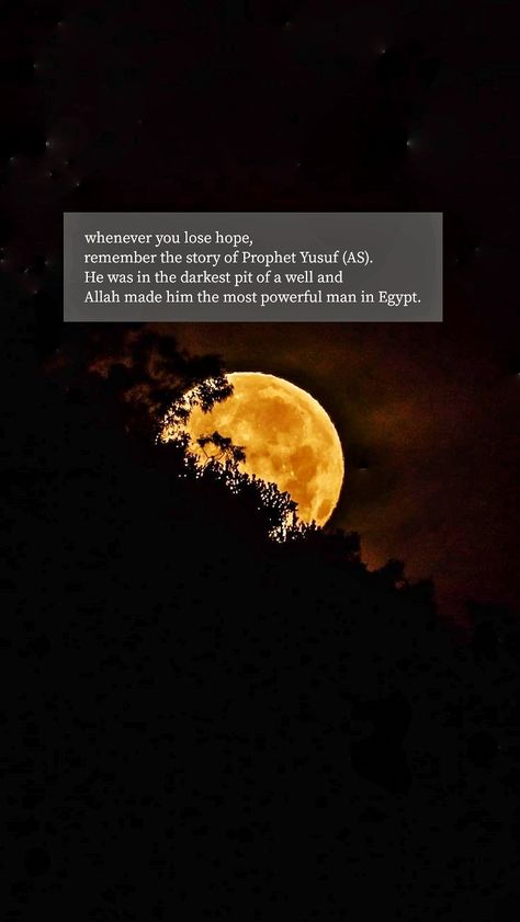 whenever you lose hope, remember the story of Prophet Yusuf (AS). He was in the darkest pit of a well and Allah made him the most powerful man in Egypt. Story Of Prophets In Islam, Prophet Yusuf Quotes, Stories Of Prophets Islam, Prophets Quotes, Prophet Yusuf, Prophet Stories, Kun Fayakun, Smile Quotes Beautiful, Mysterious Quotes