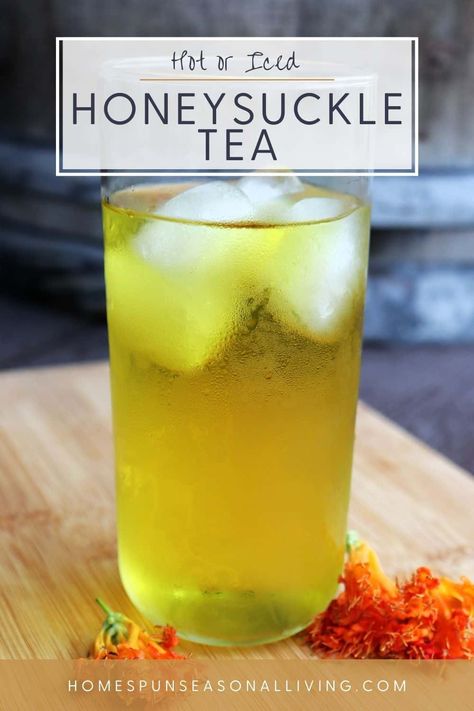 Make a glass of iced honeysuckle tea for a flavorful and refreshing summertime drink sure to cool off the hottest of days. Get the full recipe on my blog. Honeysuckle Tea, Tea Blends Recipes, Kitchen Witch Recipes, Foraging Recipes, Edible Wild Plants, Healing Tea, Fermentation Recipes, Summertime Drinks, Iced Tea Recipes