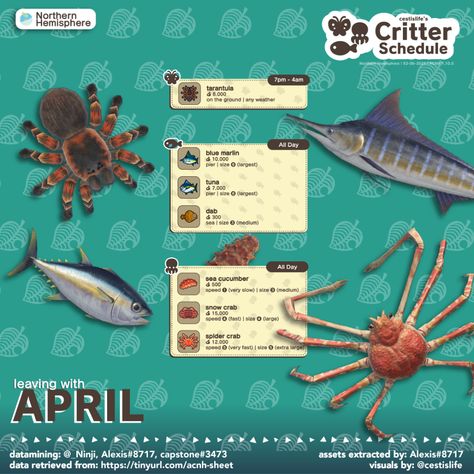 Animal Crossing November, Animal Crossing Fish, Acnh Tips, Acnh Idea, Flower Reproduction, Acnh Inspiration, Cozy Gaming, Castaway Cay, Animals Crossing