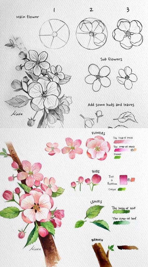 flowers1 Step-by-step guide to drawing and painting flowers with leaves and buds; includes sketches and watercolor illustrations. | Sky Rye Design Almond Blossom Drawing, Watercolor Apple Blossoms, Cherry Blossom How To Draw, Flower Sketches Watercolor, Painting Cherry Blossoms Easy, How To Draw Beautiful Flowers, Tutorial Flower Drawing, How To Draw Botanicals, Easy Drawings Sketches Flowers