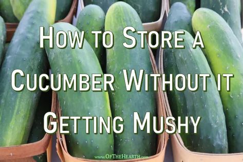 Store Cucumbers, Food Saver Hacks, How To Store Cucumbers, Food Shelf Life, Kitchen Hacks Food, Freezing Vegetables, Amazing Food Hacks, Prevent Food Waste, Storing Vegetables