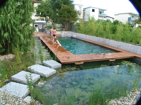 Pool With Rocks, Organic Pools, Organic Pool, Raised Decking, Swimming Ponds, Swimming Pool Pond, Wooden Pool, Container Pool, Natural Swimming Ponds