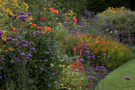 Garden Color Scheme Colour Palettes, Cottage Garden Colour Scheme, Garden Colour Schemes, Garden Color Scheme, Veg Planters, Wisconsin Garden, Jewel Garden, Hot Garden, Modern Garden Landscaping