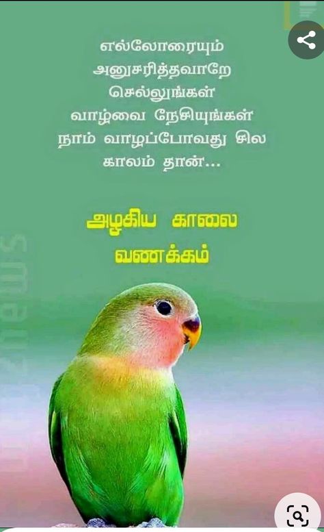 Tamil Motivational Quotes Good Morning, Good Morning Wishes In Tamil, Tamil Wishes, Tamil Motivational Quotes, Morning Status, Good Morning Coffee Images, Morning Coffee Images, Beautiful Morning Quotes, Ganesh Wallpaper