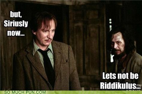 Funny Sirius Black Quotes | ... riddik sirius sirius black surnames submitted by raindropanddaisytop Sirius Black Funny, Yer A Wizard Harry, The Prisoner Of Azkaban, Prisoner Of Azkaban, Star Spangled Banner, Albus Dumbledore, Remus Lupin, Harry Potter Love, Harry Potter Obsession