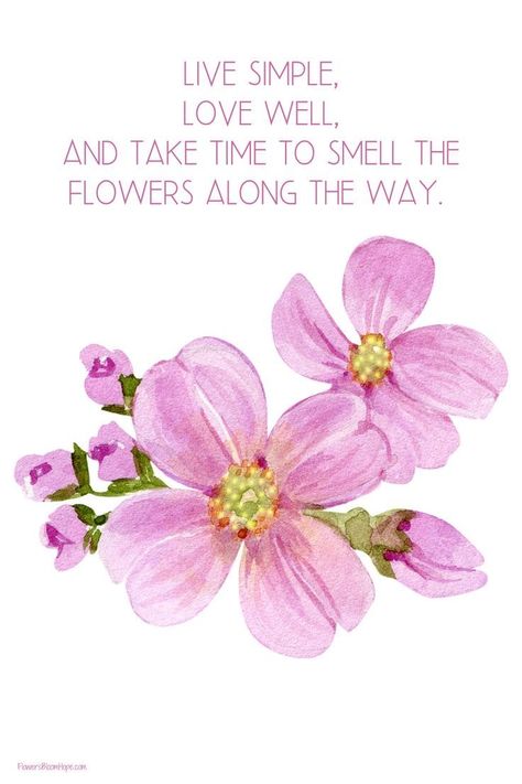 Smelling Good Quotes, Live Simple, Smelling Flowers, Love Well, Natural Fence, Spring Quotes, Floral Cards Design, Quote Inspiration, Good Morning Photos