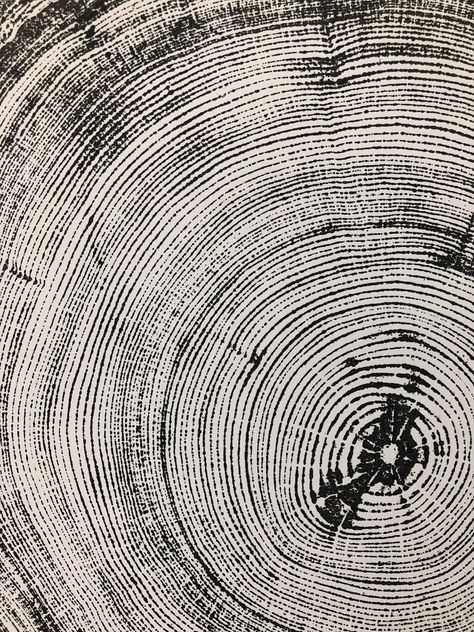 Denver Colorado Tree Ring Art Print Douglas Fir Tree | Etsy Tree Rings Art, Parametric Ceiling, Tree Ring Prints, Tree Ring Print, Tree Ring Art, Tree Circle, Pine Tree Art, Earth Poster, Woodcut Print