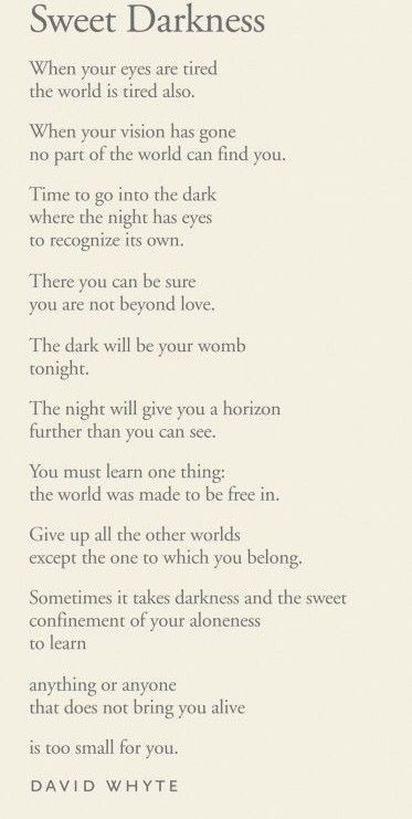 "Sweet darkness", a poem by David Whyte David White Poetry, Eyes Quotes Soul, David Whyte, Spiritual Poetry, Invisible Crown, Eye Quotes, Fabulous Quotes, Modern Inspiration, Silver Pen