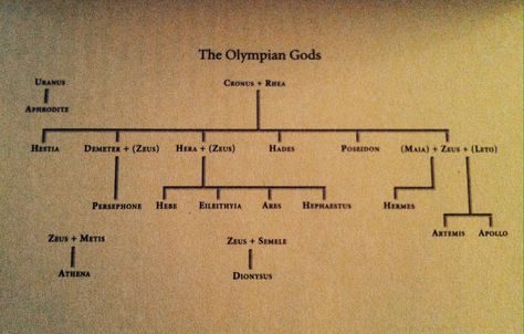 Greek Mythology THE OLYMPIAN GODS - family tree Greek God Family Tree, Greek Gods Family Tree, Zeus Greek Mythology, Modern Gods, Greek Mythology Family Tree, Zeus And Hades, God's Family, Olympian Gods, Greece Mythology