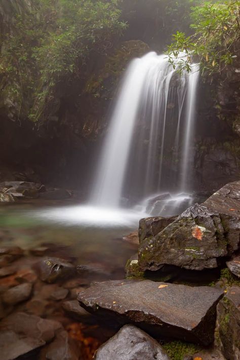 Grotto Falls Hike along the Trillium Gap Trail at Great Smoky Mountains National Park #vezzaniphotography Grotto Falls, The Grotto, Fall Hiking, Great Smoky Mountains National Park, Hiking Trail, Great Smoky Mountains, Smoky Mountains, Falling In Love, Fall In Love