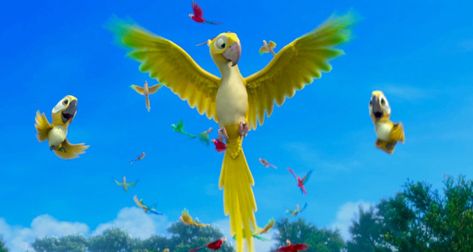 Bird Animation, Parrot Cartoon, Rio Movie, Blue Sky Studios, Rio 2, Cartoon As Anime, Cartoon Photo, Computer Animation, Mythical Creatures Art