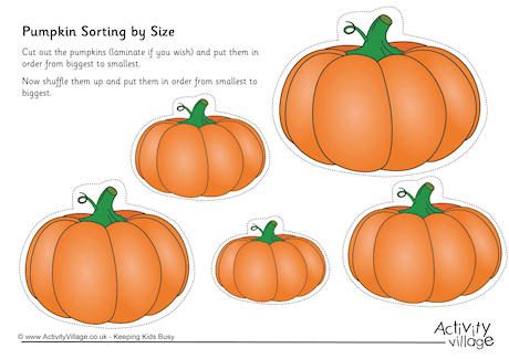 Pumpkin Sorting by Size Pumpkin Size Sorting, Sorting By Size, Ladybug Room, 5 Little Pumpkins, Pumpkin Unit, Activity Village, Size Sorting, Fall Lesson Plans, Fall Lessons