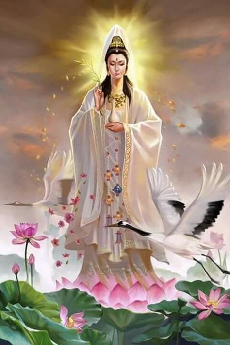 Guanyin or Guan Yin (Chinese : 觀音娘娘/觀世音; Pinyin : Guānyīn niángniáng/Guānshìyīn) is an East Asian bodhisattva associated with compassion and venerated by Mahayana Buddhists and followers of Chinese folk religions, also known as the "Goddess of Mercy" in English. The Chinese name Guanyin, short for Guanshiyin, means "[The One Who] Perceives the Sounds of the World". Quan Yin, Kuan Yin, Chinese Mythology, Kwan Yin, The Virgin Mary, Buddha Image, Goddess Art, Buddha Art, Buddhist Art