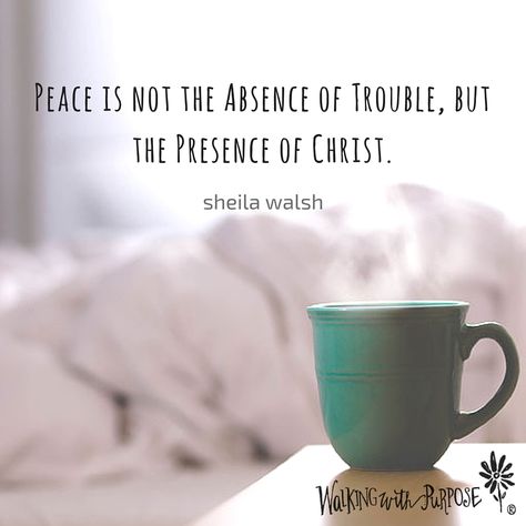 Peace That Passes All Understanding, Soul Vs Spirit, The Peace I Have Now Was Worth Everything I Lost, You Are The Peace In My Troubled Sea, Peace Is Not The Absence Of Trouble, Peace Begins When Expectation Ends, Sheila Walsh, Catholic Kids, Blue Books