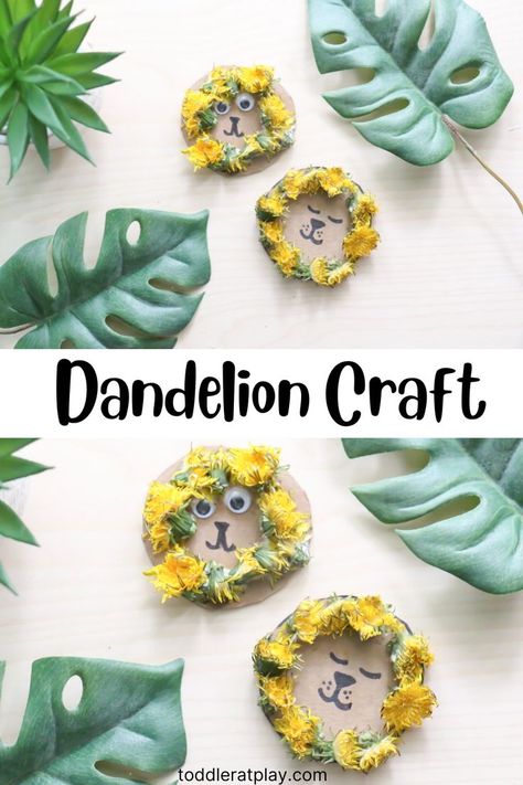 This Dandelion Lion Craft is a fun way to use up a piece of cardboard and make something beautiful using nature around us! Kids will love going on a hunt for dandelions and collecting them to make a bushy mane for their lions! The steps for this craft are super easy, making this craft appropriate for the little ones too! Kids will adore their finished dandelion lions! #naturecrafts #dandelioncrafts #lioncraft #recycledcrafts #summercraftideas Summer Sensory Play, Dandelion Craft, Spring Sensory Play, Recycled Crafts Kids Preschool, Summer Sensory, Spring Sensory, Craft Toddler, Lion Flower, Crafts For Kids Preschool