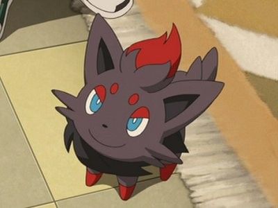 Zorua Pokemon, Zoroark Pokemon, Solgaleo Pokemon, Wild Pokemon, Pokemon Collection, Pokemon Teams, Pokemon Drawings, Little Critter, All Pokemon